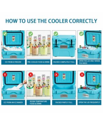 16-Quart Portable Insulated Hard Cooler with 4-Day Ice Retention and 2 Cup Holders