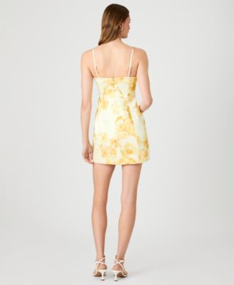 Women's Sleeveless Printed Mini Dress