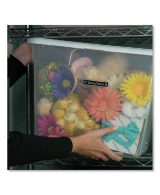 TZE335 0.47 in. x 26.2 ft. TZe Standard Adhesive Laminated Labeling Tape