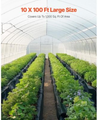 10 Mil Plastic Sheeting, 10' x 100', Heavy Duty for Vapor Barrier and Drop Cloth