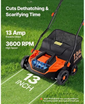 2-in-1 Electric Dethatcher and Scarifier, 13-Inch, 13 Amp Corded Lawn Tool