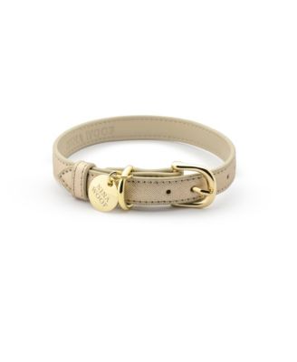 Pet Dog Collar