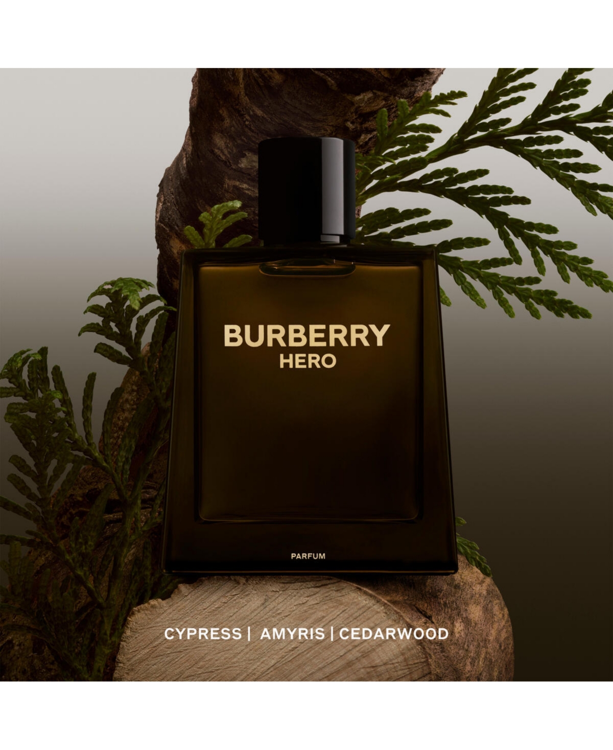 Burberry Men's Hero Parfum Spray