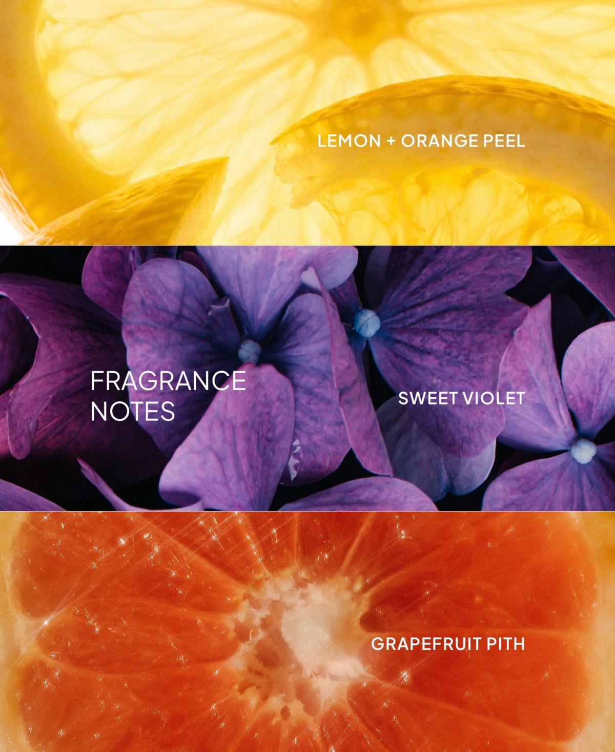 Verb Ghost Conditioner
