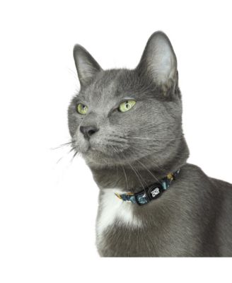Breakaway Cat Collar