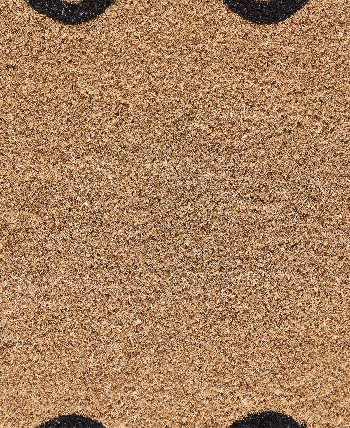Vcny Home Bow Scalloped Edge Coir Outdoor Doormat, 30" x 48"