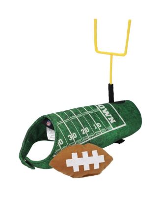 NFL Green Touchdown Dog Costume