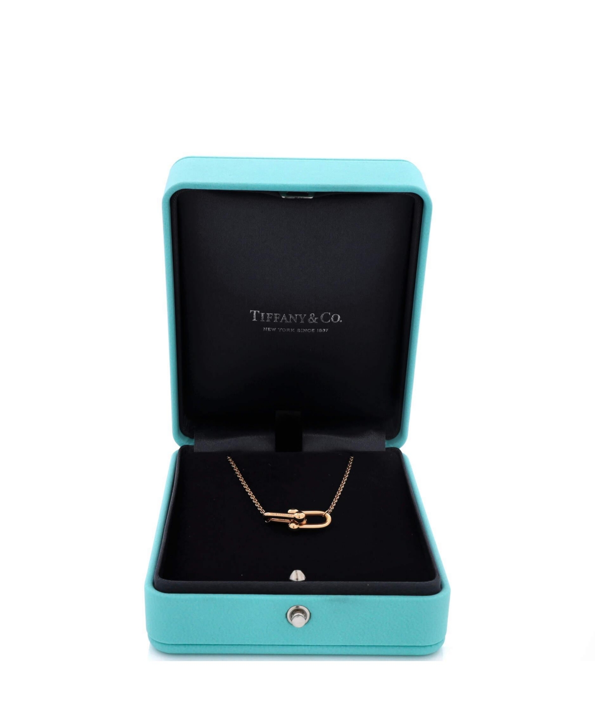 Pre-Owned Tiffany & Co HardWear Double Link Pendant Necklace
