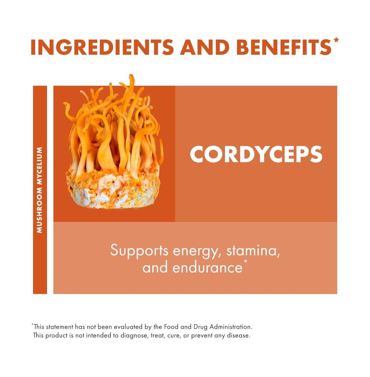 Host Defense Cordyceps Capsules - Immune & Energy Support Supplement