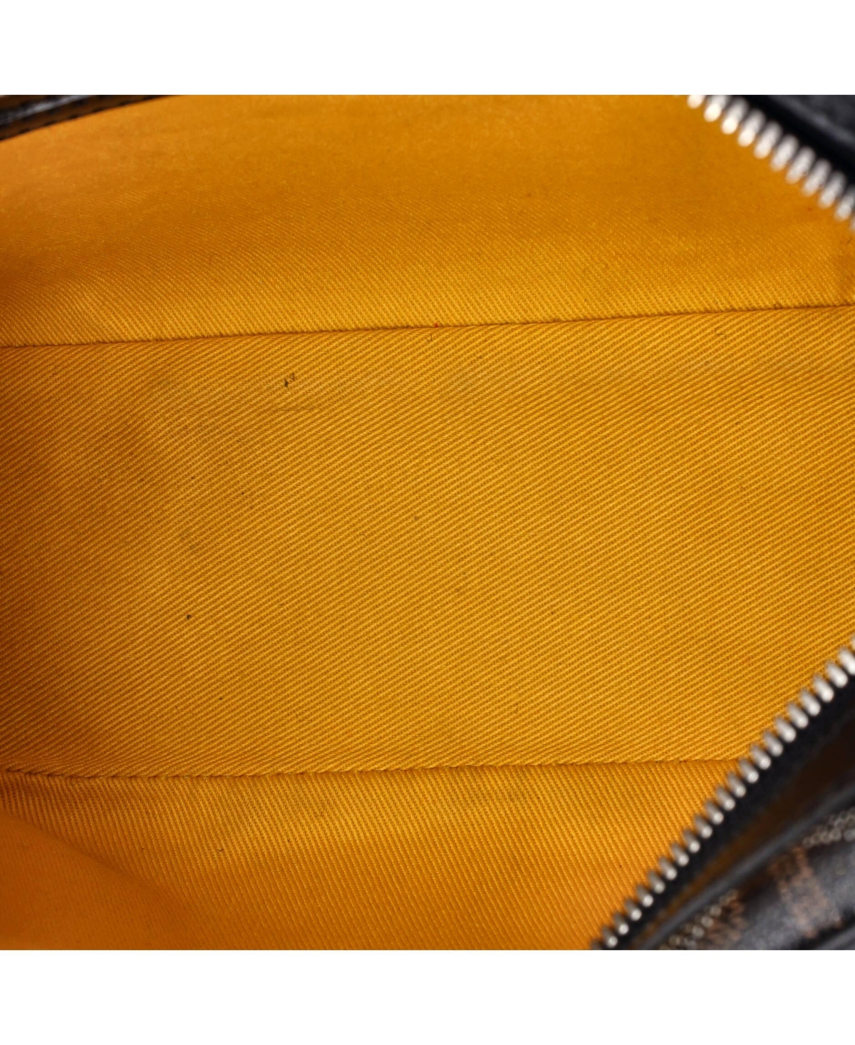 Pre-Owned Goyard Cap Vert Bag Coated Canvas