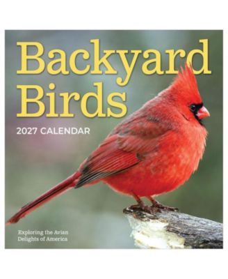2027 Backyard Birds Wall Calendar