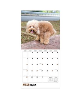 2027 Pooping Dogs Wall Calendar