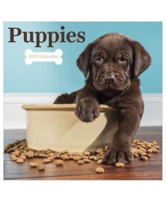 2027 Puppies Wall Calendar
