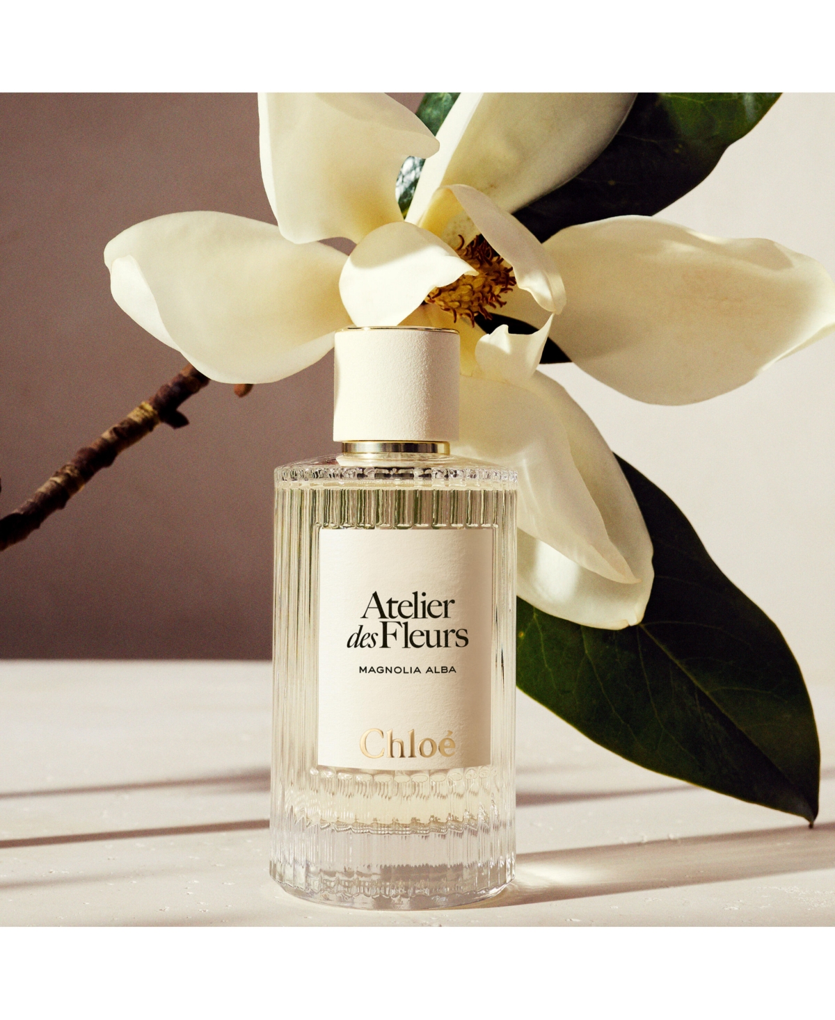 Chloe Atelier des Fleurs Magnolia Alba Eau de Parfum Spray, 1.6 oz.