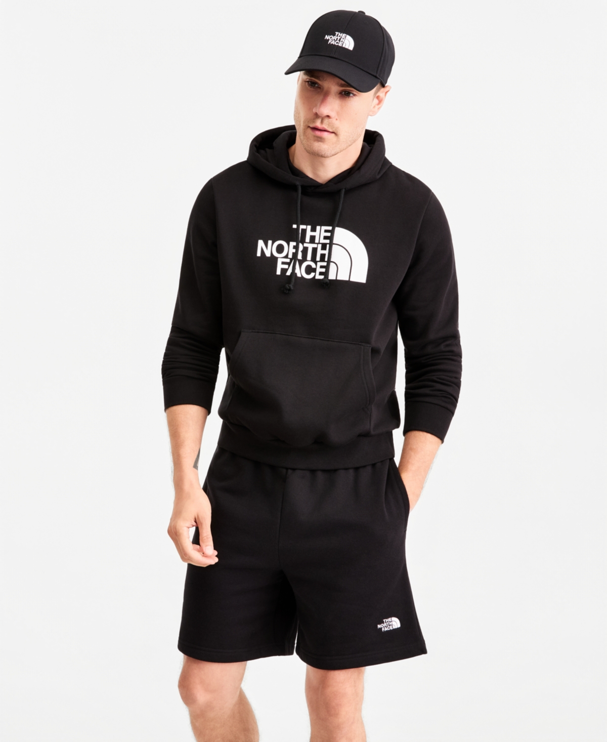 The North Face Men's Evolution Half Dome Pull Over Hoodie