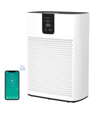 Air Purifier for 2,400 sq ft - 15dB Sleep Mode, Dual-Intake, 2 HEPA Filters & APP Control