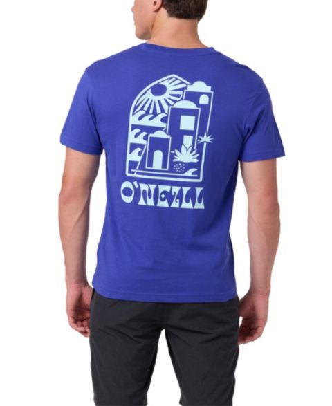 Мужская футболка O'Neill Regular-Fit Graphic, цвет: Королевский синий