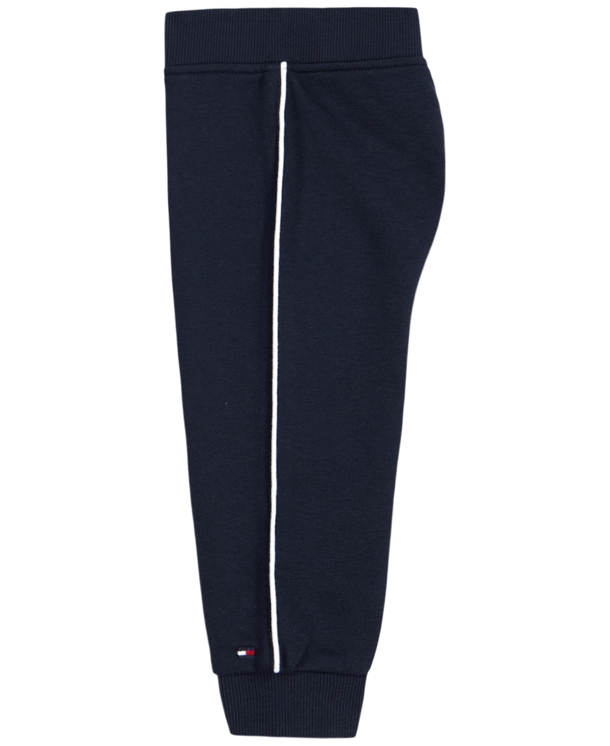 Tommy Hilfiger Baby Boys' Color-blocked Logo Hoodie and Jogger Pants, 2-Piece Set