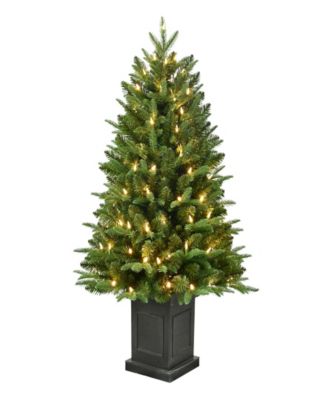 40" Pre-Lit Fraser Fir Potted Tree