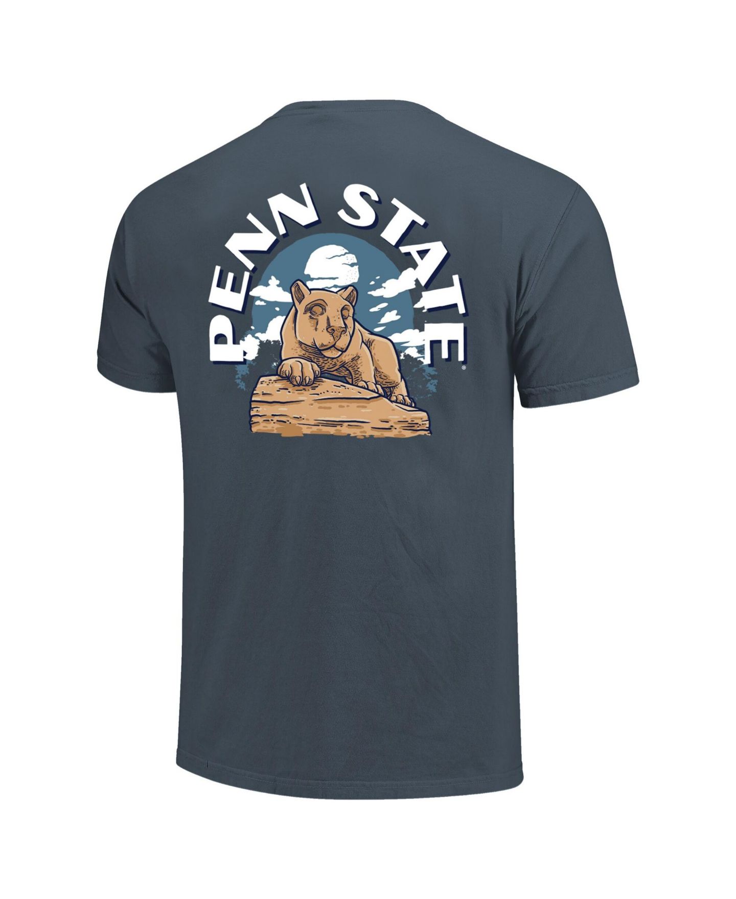 Мужская футболка Image One Navy Penn State Nittany Lions Comfort Colors Team Statue — фото 3