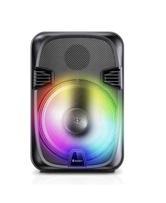 AL-1202 Portable Bluetooth Karaoke Speaker