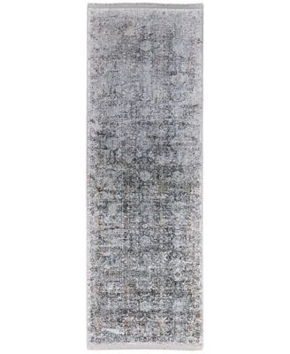 Sarrant R3965 2'8"x8' Runner Area Rug