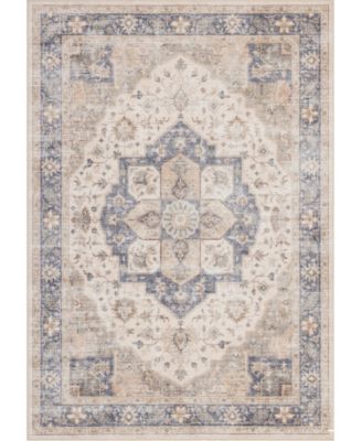Homewell Machine Washable HAM4005 9'10"x13'11" Area Rug