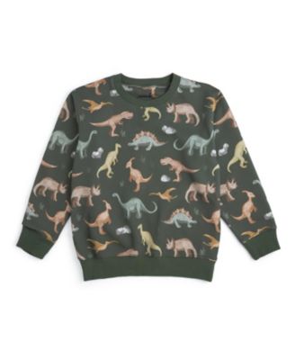 Little Boys Dinosaurs Rock Sweatshirt