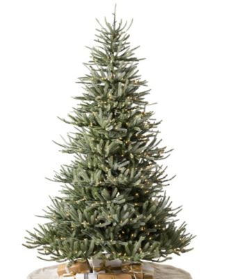 Sanibel Spruce 7 LEDC