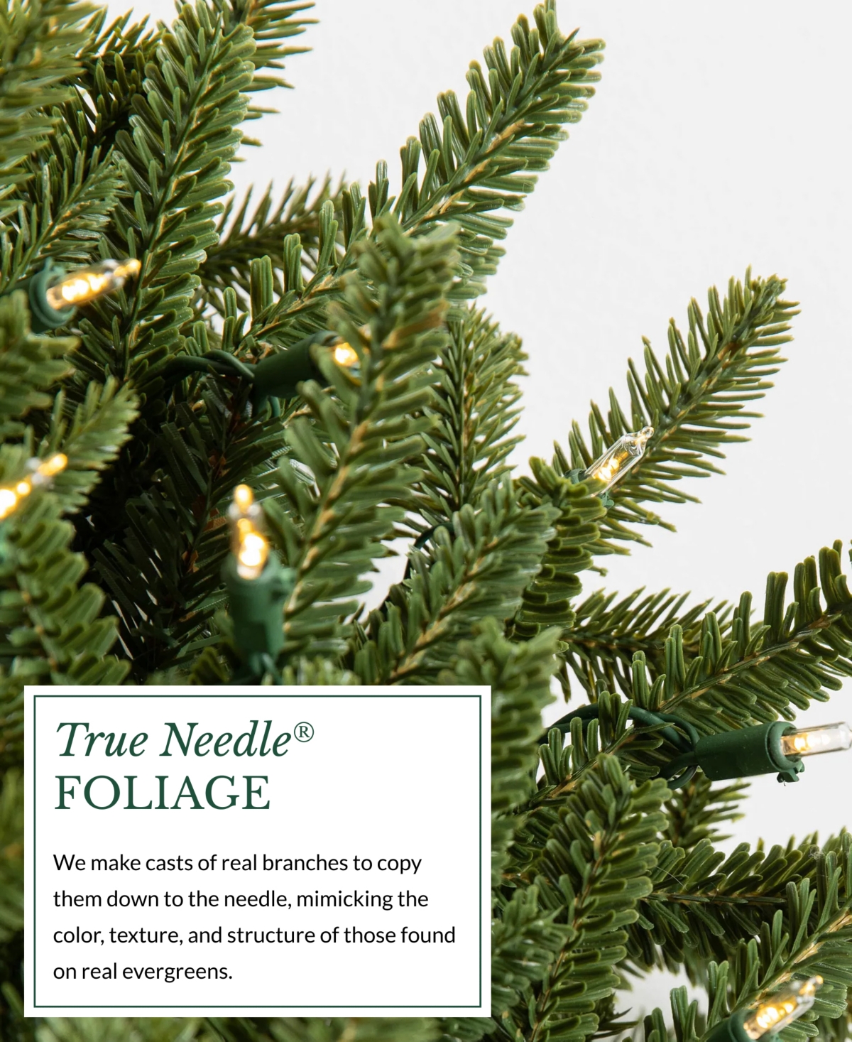 Balsam 26" Hill Fraser Fir Pre-Lit Wreath