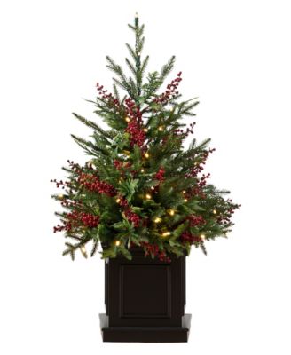 Outdoor Red Berry Evergreen Potted Tree|3|LEDC|BO