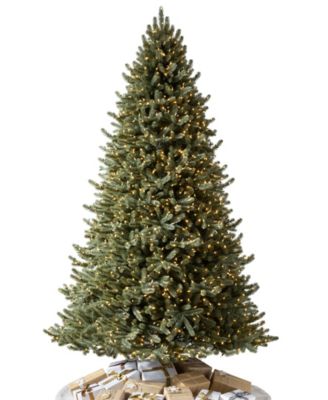 Vermont White Spruce 6.5 LEDC