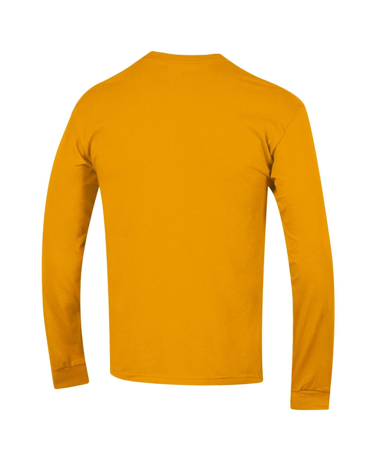 Мужская футболка Champion Purple LSU Tigers Arch Over Logo 2-Hit Long Sleeve, цвет: Чёрный — фото 9