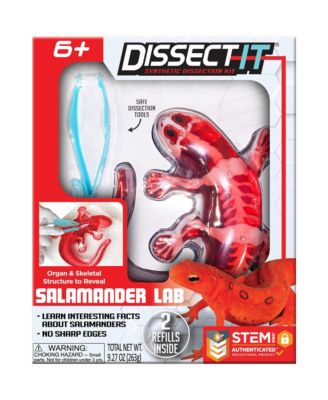 Salamander Anatomy Lab Toy, Ages 6+
