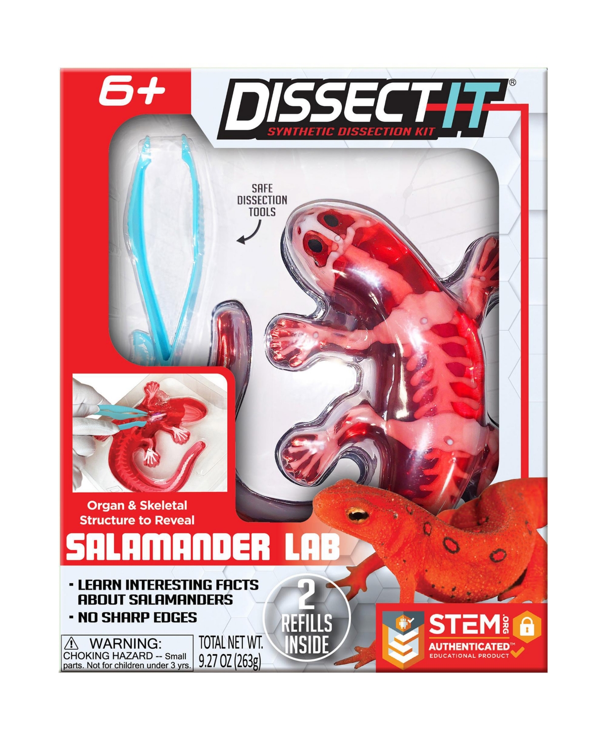 Dissect-It Salamander Anatomy Lab Toy, Ages 6+