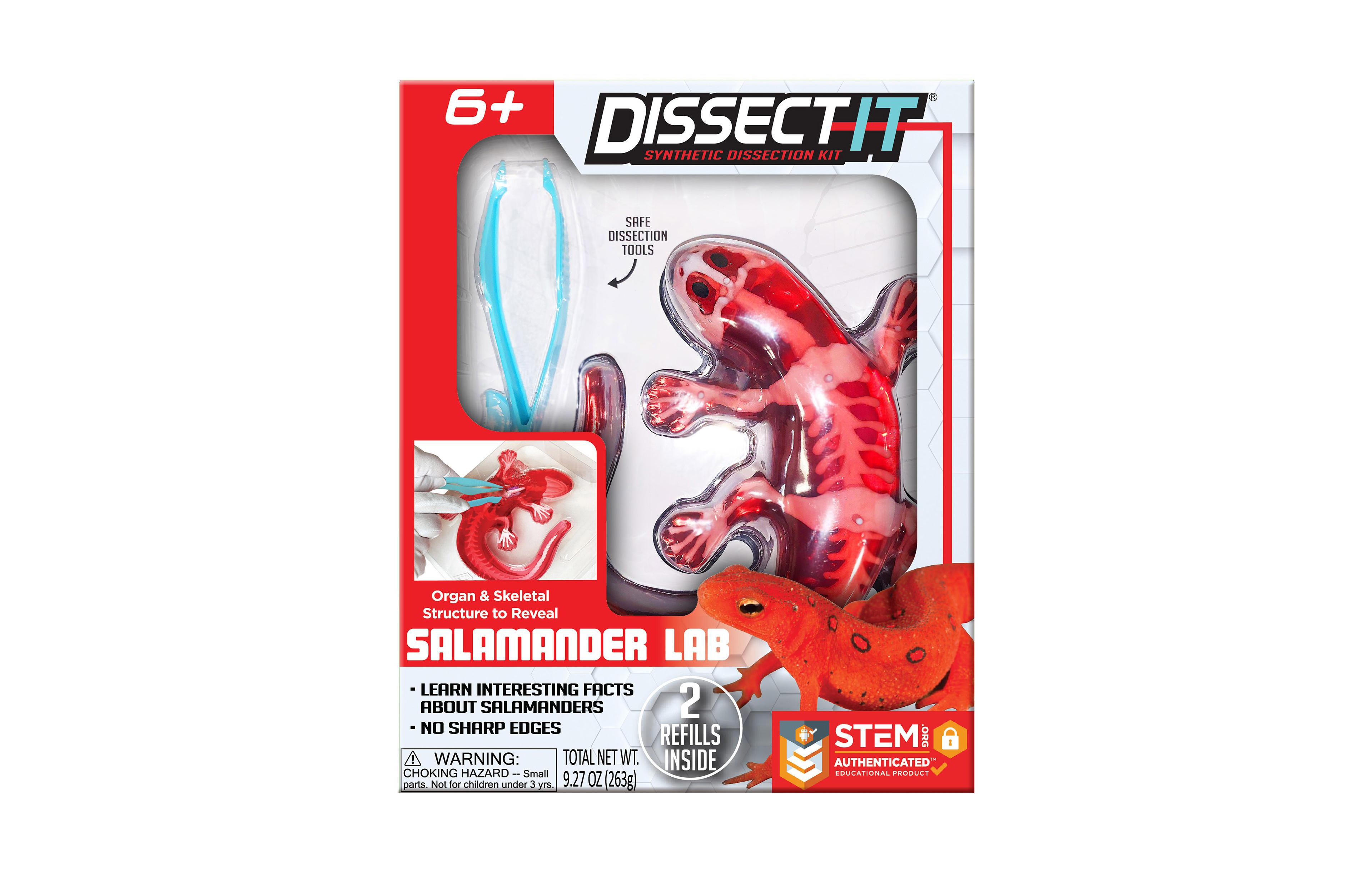Dissect-It Salamander Anatomy Lab Toy, Ages 6+
