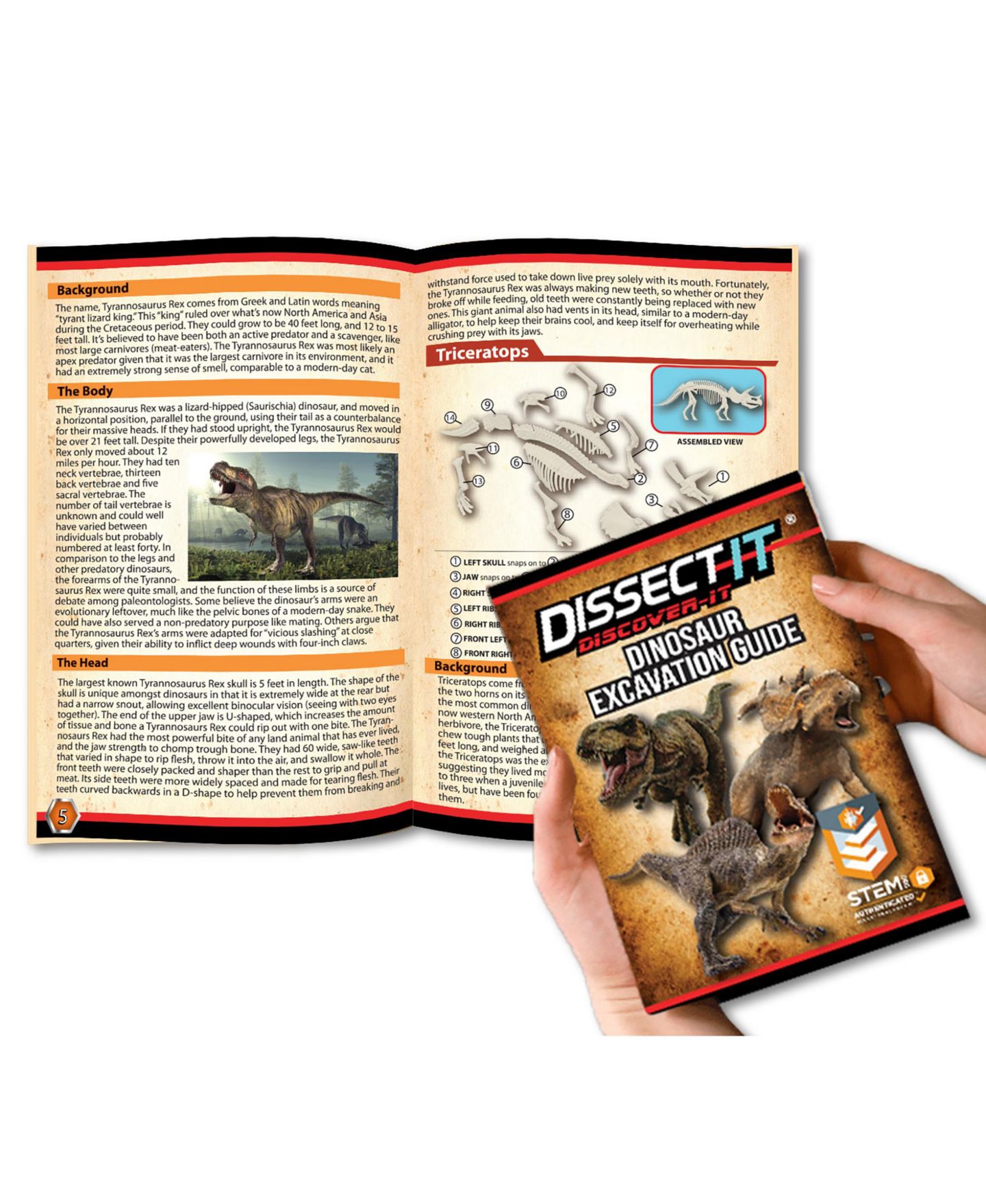 Детские игрушки Dissect-It Dino Dig Excavation Kit, Ages 12+ — фото 2