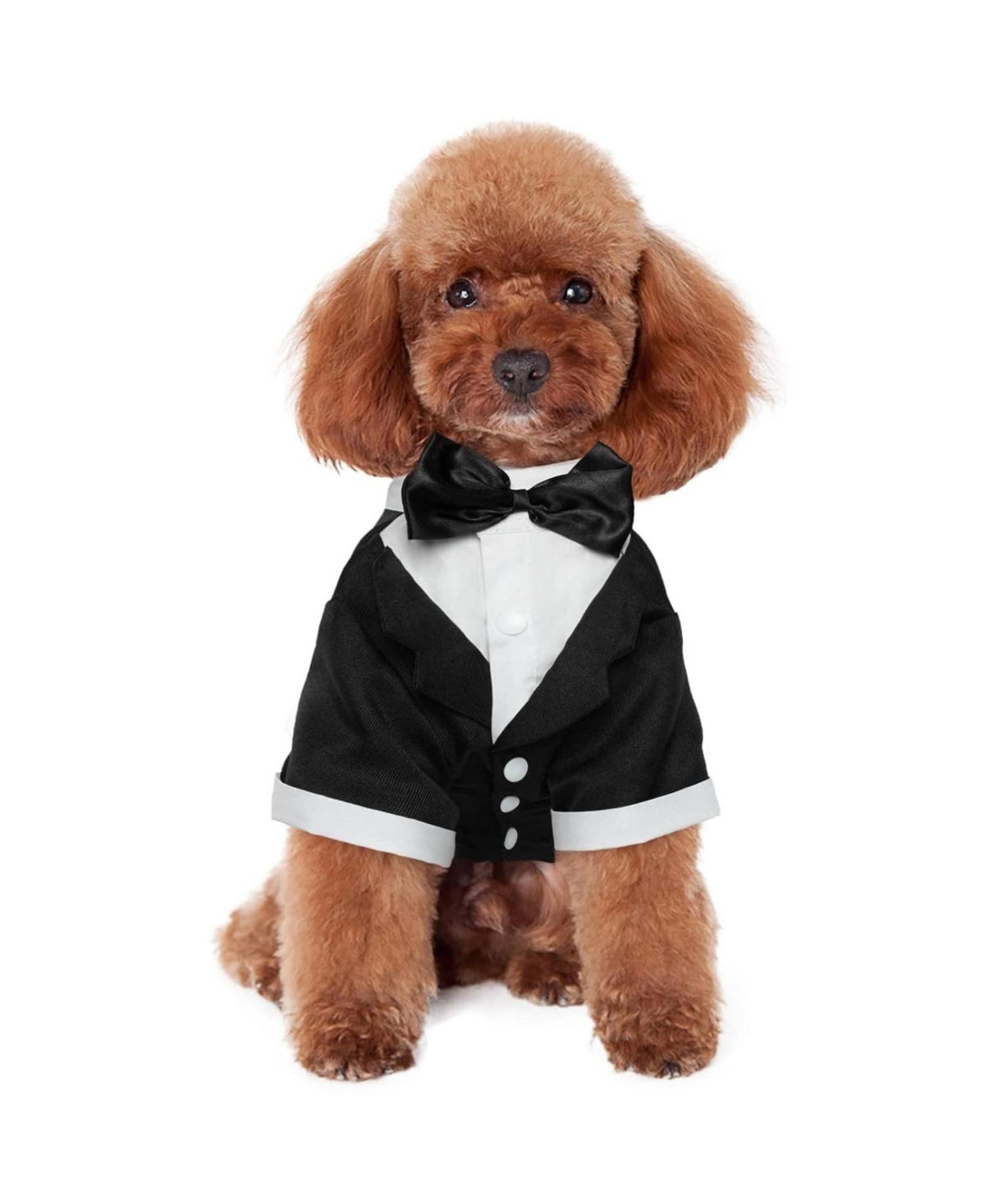 Formal Polyester-Cotton Tuxedo Suit with Bow Tie for Dogs