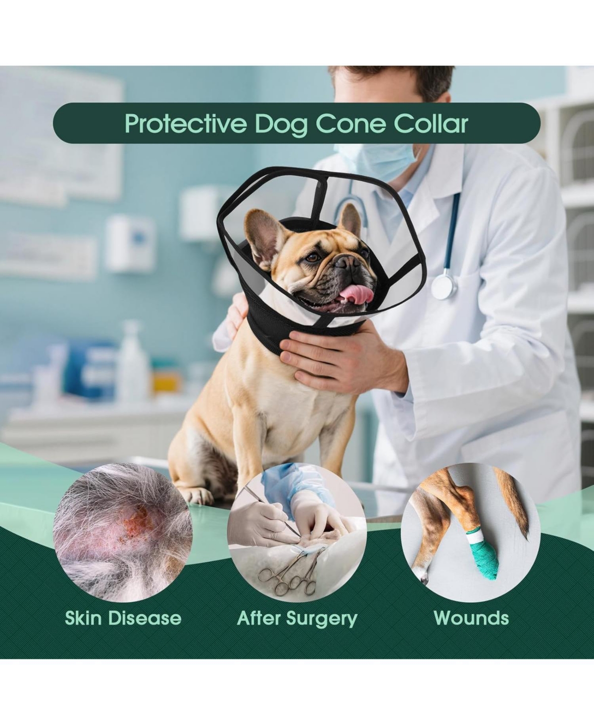 Soft Mesh and Transparent Pvc Recovery Cone Collar for Dogs
