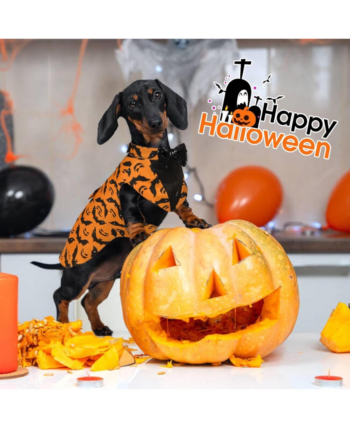 Formal Tuxedo and Seasonal Bandana Two-Piece Dog Costume Set with D-Ring and Detachable Bowtie