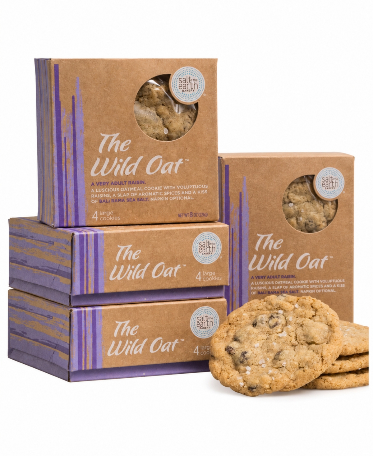 Salt of the Earth Bakery Fresh Baked Oatmeal Rasin Cookies Gourmet Boxes, 16-Piece