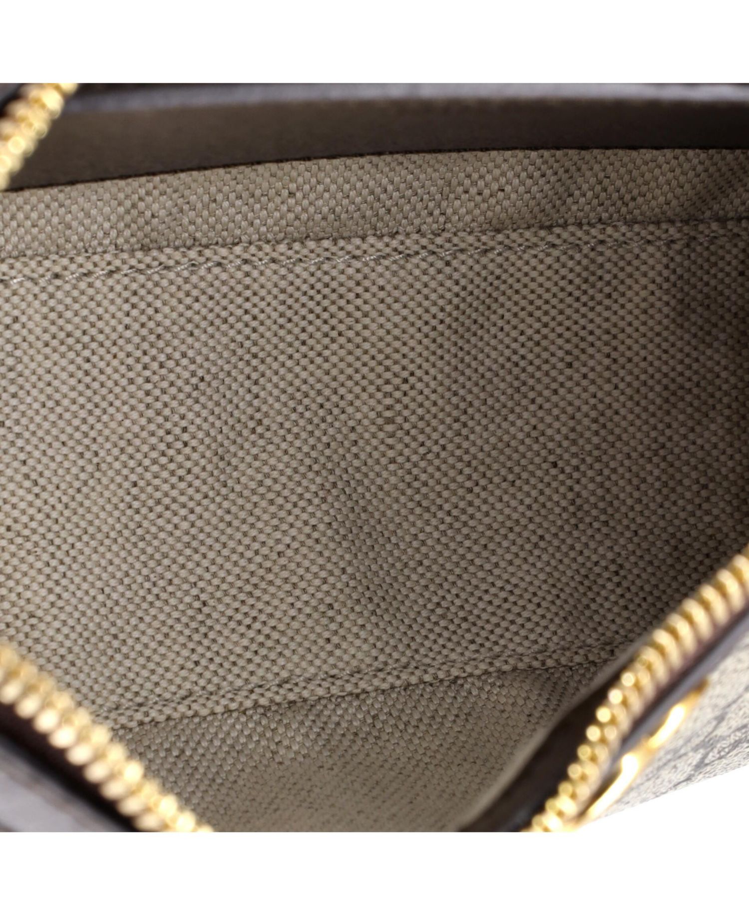 Small Ophidia Charm Shoulder Bag GG Coated Canvas