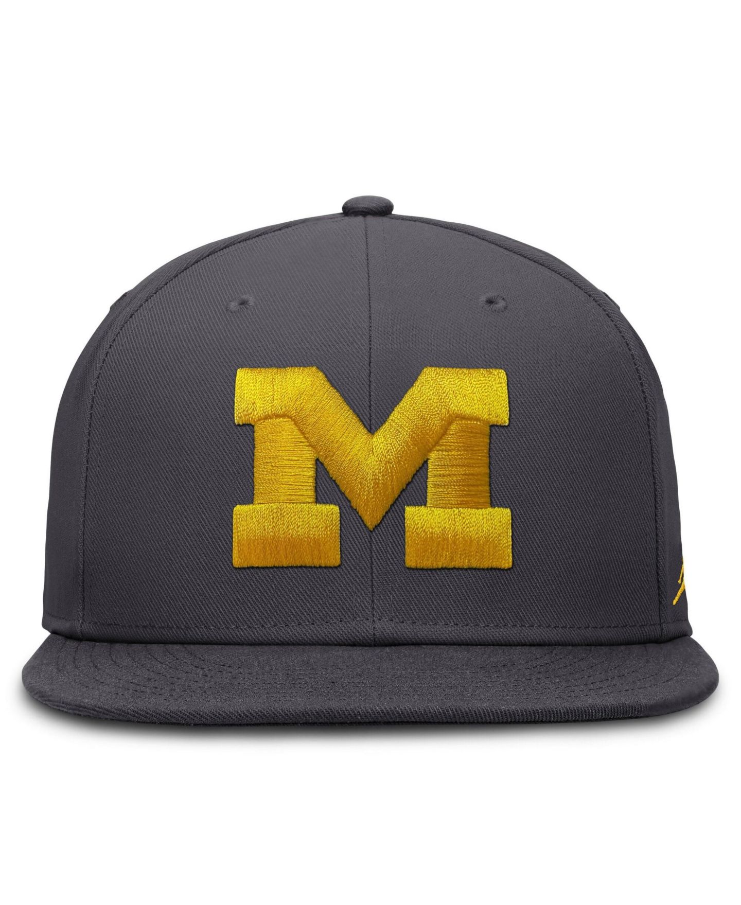 Мужская кепка Jordan Nike Anthracite Michigan Wolverines Pro Dri-FIT Fitted Hat — фото 5
