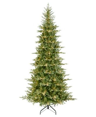 Alberta Spruce Christmas Tree