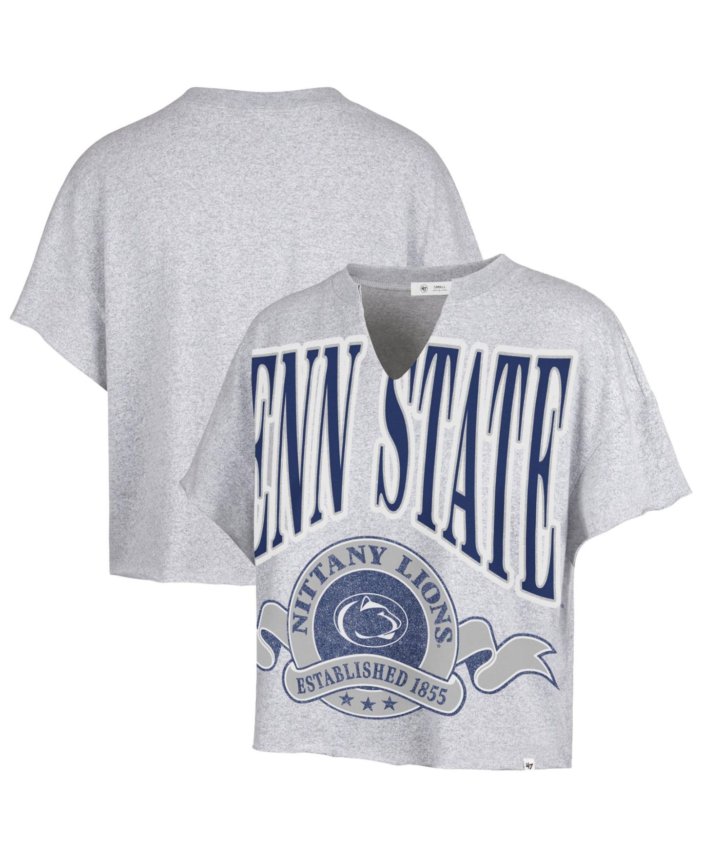 Женская футболка '47 Brand Gray Penn State Nittany Lions Banners Out Oversized Notch-Neck — фото 1