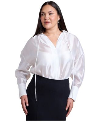 Plus Size Sheer Oversized Long-Sleeve Blouse