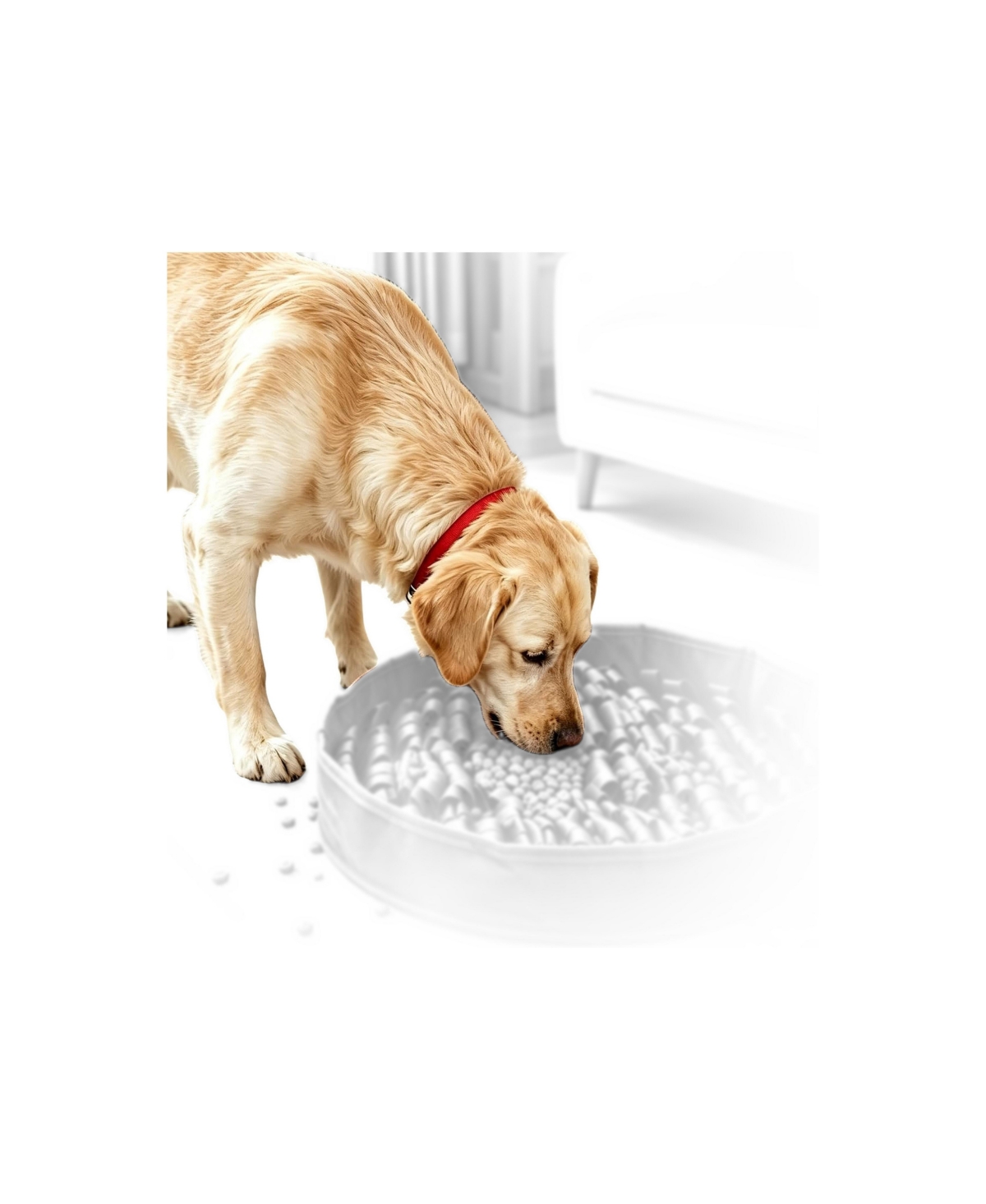 Magicorange Dog Snuffle Mat Slow Feeding Non Slip Mental Stimulation Machine Washable Portable