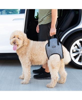 Adventure Support Lift Harness