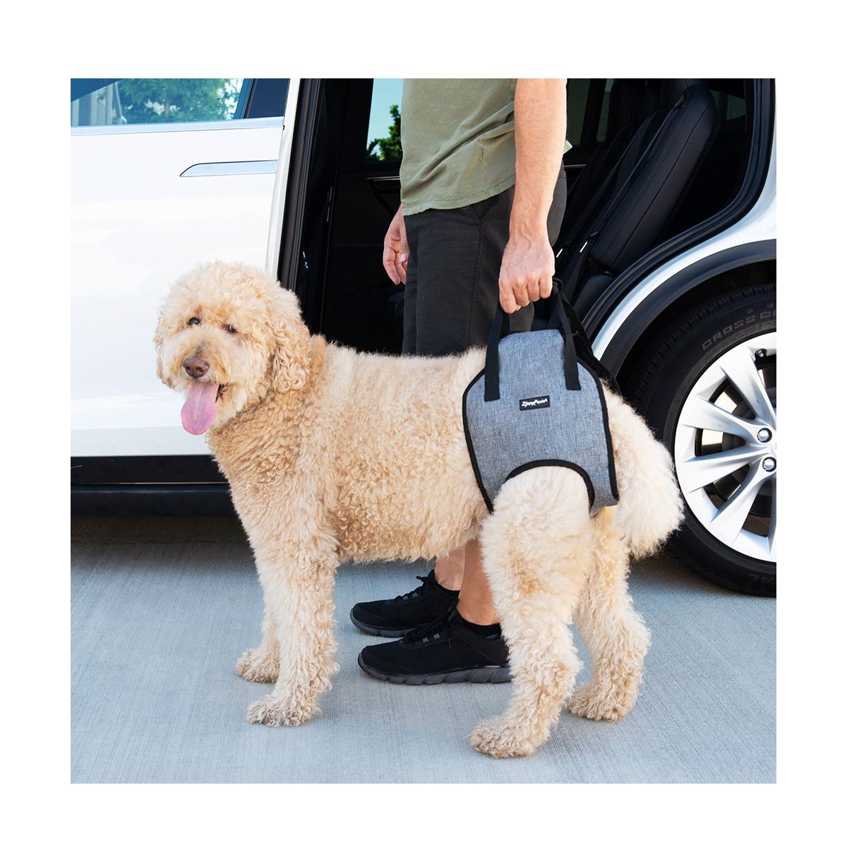 ZippyPaws Adventure Support Lift Dog Harness - One Size