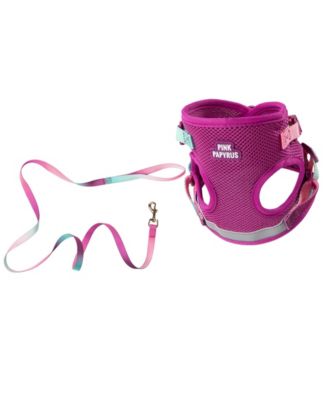 Stasia Cat Harness and Leash Set